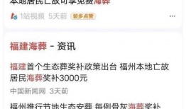 台湾大陆最新爆料视频网,真相与争议并存