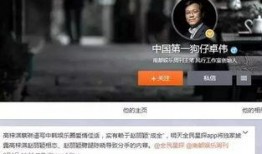 怎么p狗仔爆料的视频,视频背后的真相与幕后操作
